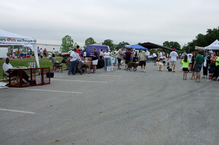 Hound Dog Hustle 2009 12.JPG